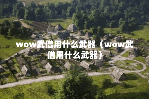 wow武僧用什么武器（wow武僧用什么武器）