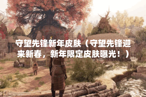 守望先锋新年皮肤（守望先锋迎来新春，新年限定皮肤曝光！）