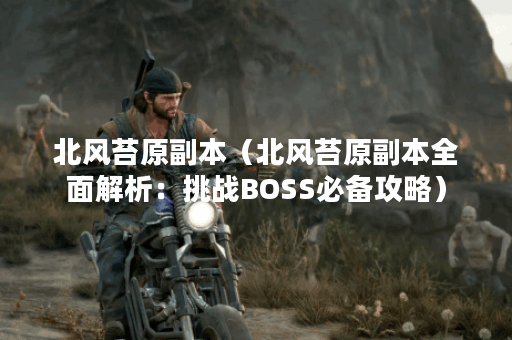 北风苔原副本（北风苔原副本全面解析：挑战BOSS必备攻略）
