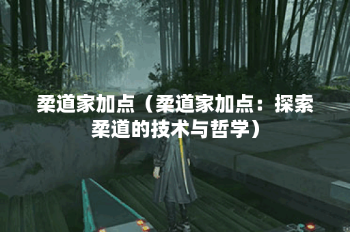 柔道家加点（柔道家加点：探索柔道的技术与哲学）