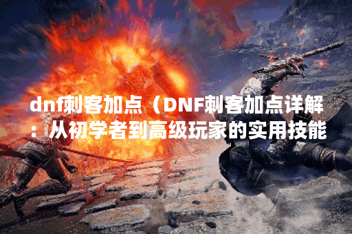 dnf刺客加点（DNF刺客加点详解：从初学者到高级玩家的实用技能指南）