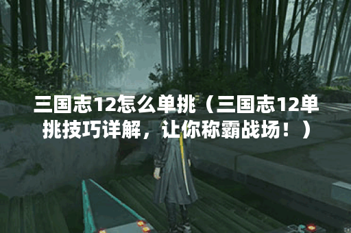 三国志12怎么单挑（三国志12单挑技巧详解，让你称霸战场！）