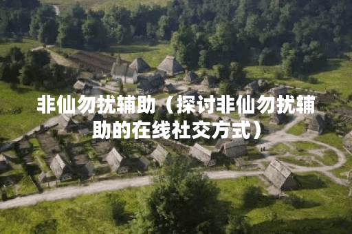 非仙勿扰辅助（探讨非仙勿扰辅助的在线社交方式）