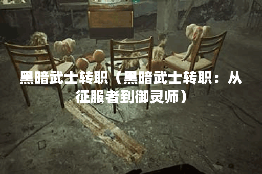 黑暗武士转职（黑暗武士转职：从征服者到御灵师）