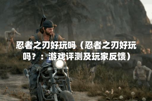 忍者之刃好玩吗（忍者之刃好玩吗？：游戏评测及玩家反馈）