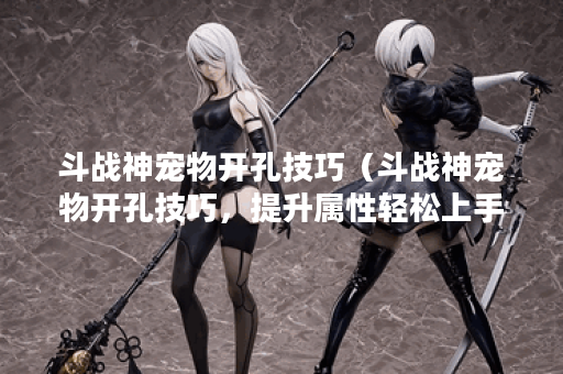 斗战神宠物开孔技巧（斗战神宠物开孔技巧，提升属性轻松上手！）