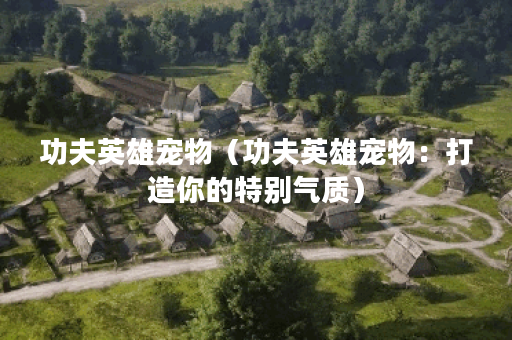 功夫英雄宠物（功夫英雄宠物：打造你的特别气质）