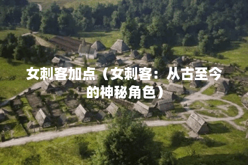 女刺客加点（女刺客：从古至今的神秘角色）