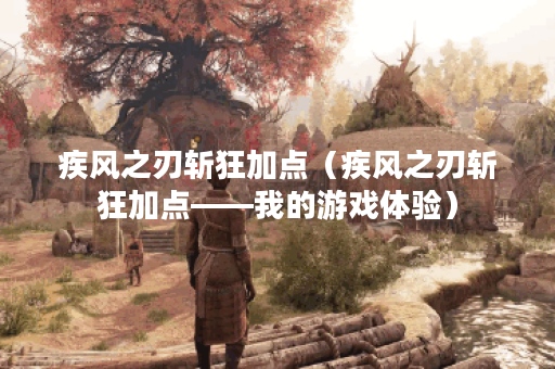 疾风之刃斩狂加点（疾风之刃斩狂加点——我的游戏体验）