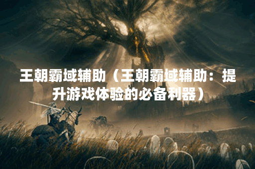 王朝霸域辅助（王朝霸域辅助：提升游戏体验的必备利器）