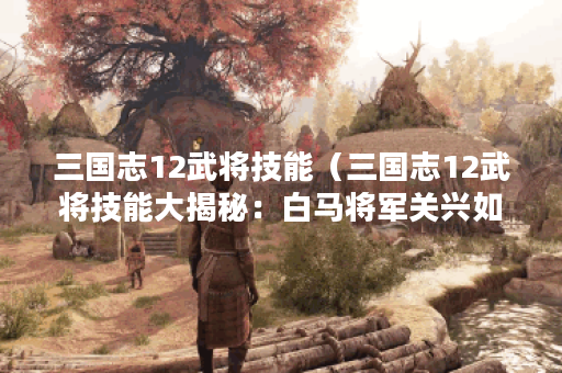 三国志12武将技能（三国志12武将技能大揭秘：白马将军关兴如何开局跑