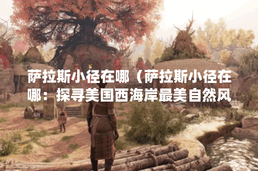 萨拉斯小径在哪（萨拉斯小径在哪：探寻美国西海岸最美自然风光）