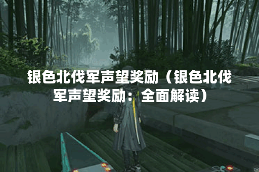 银色北伐军声望奖励（银色北伐军声望奖励：全面解读）