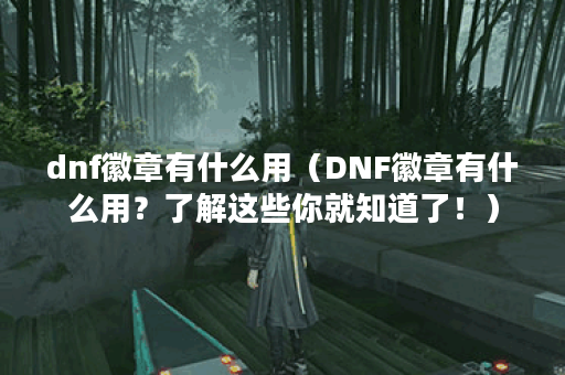 dnf徽章有什么用（DNF徽章有什么用？了解这些你就知道了！）