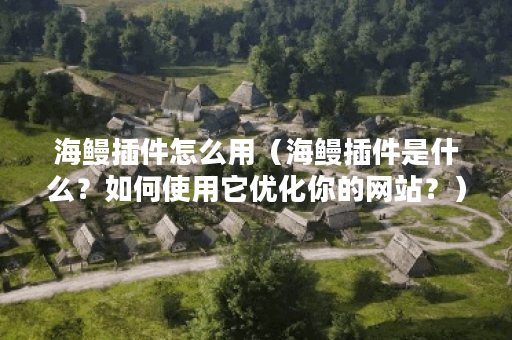 海鳗插件怎么用（海鳗插件是什么？如何使用它优化你的网站？）