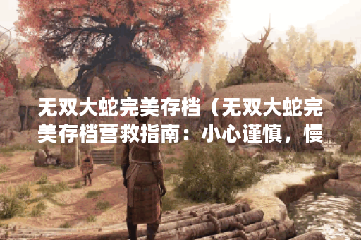 无双大蛇完美存档（无双大蛇完美存档营救指南：小心谨慎，慢慢来！