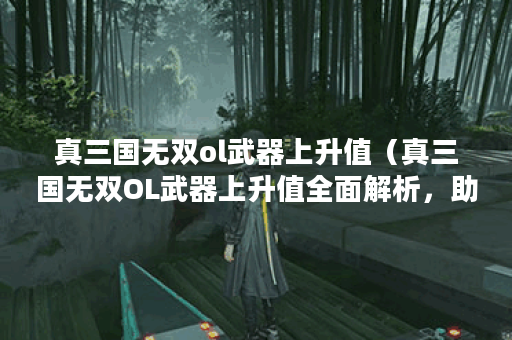 真三国无双ol武器上升值（真三国无双OL武器上升值全面解析，助你一步