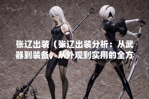 张辽出装（张辽出装分析：从武器到装备，从外观到实用的全方位解析