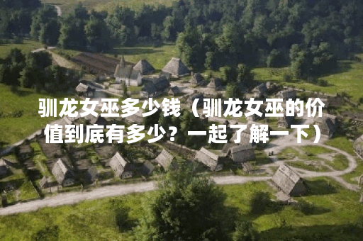 驯龙女巫多少钱（驯龙女巫的价值到底有多少？一起了解一下）