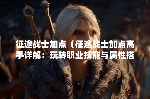 征途战士加点（征途战士加点高手详解：玩转职业技能与属性搭配）