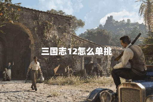 三国志12怎么单挑