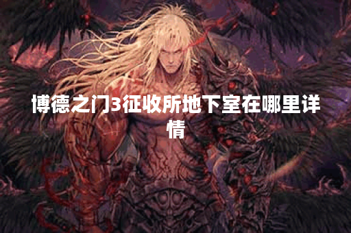博德之门3征收所地下室在哪里详情