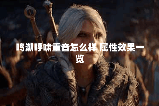 鸣潮呼啸重音怎么样 属性效果一览