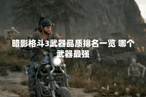 暗影格斗3武器品质排名一览 哪个武器最强