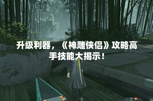 升级利器，《神雕侠侣》攻略高手技能大揭示！