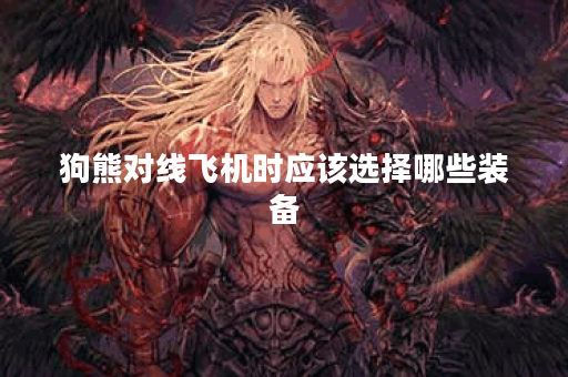狗熊对线飞机时应该选择哪些装备?飞机对线狗熊又该如何出装? 狗熊对线飞机时应该选择哪些装备?飞机对线狗熊又该如何出装?