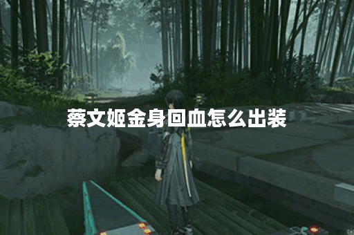蔡文姬金身回血怎么出装
