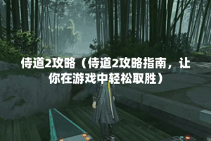 侍道2攻略（侍道2攻略指南，让你在游戏中轻松取胜）