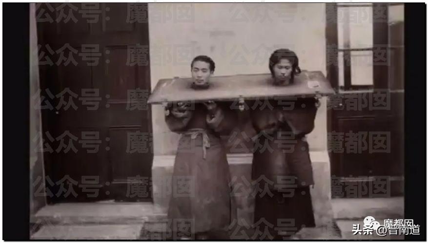 老鼠奇出装有哪些特点？如何选择合适的装备？